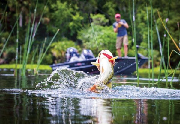 10pcs Fishing Lure Spinnerbait, Bass Trout Salmon Hard Metal Spinner Baits Kit with 2 Tackle Boxes by Tbuymax - Image 6